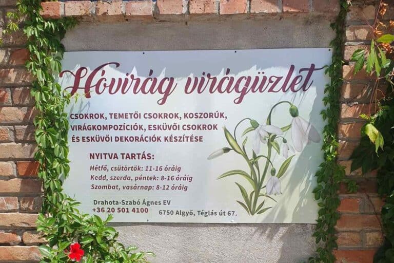 Algyői irodánk